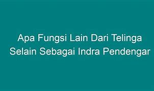 Labirin Adalah Nama Lain Dari Telinga